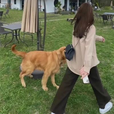 一百英尺